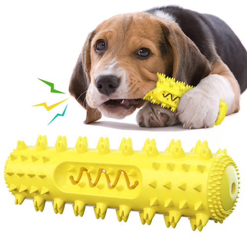 FanciPaws CleanChew™ Dental Toy