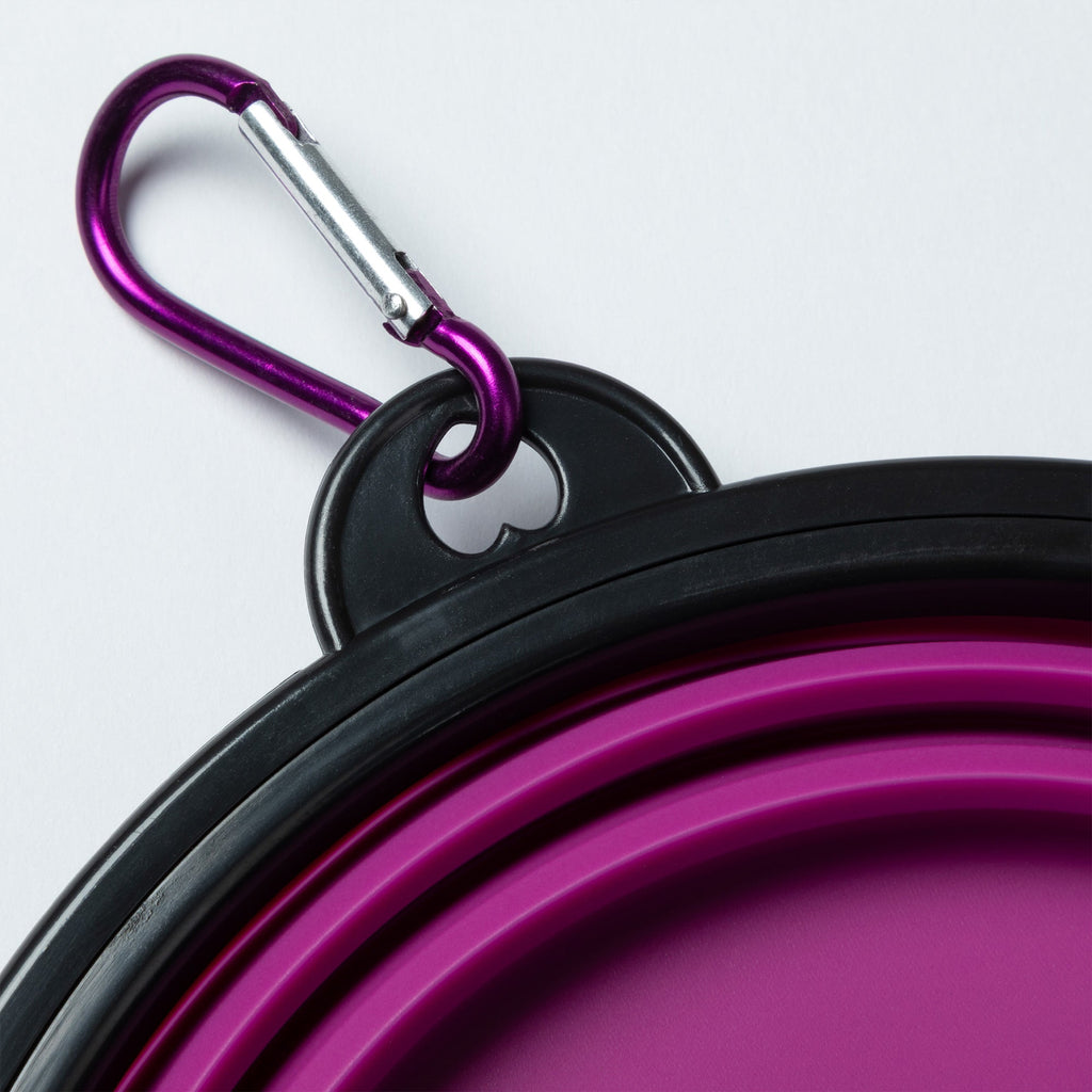 FanciPaws TrailBowl™ Collapsible Travel Bowl
