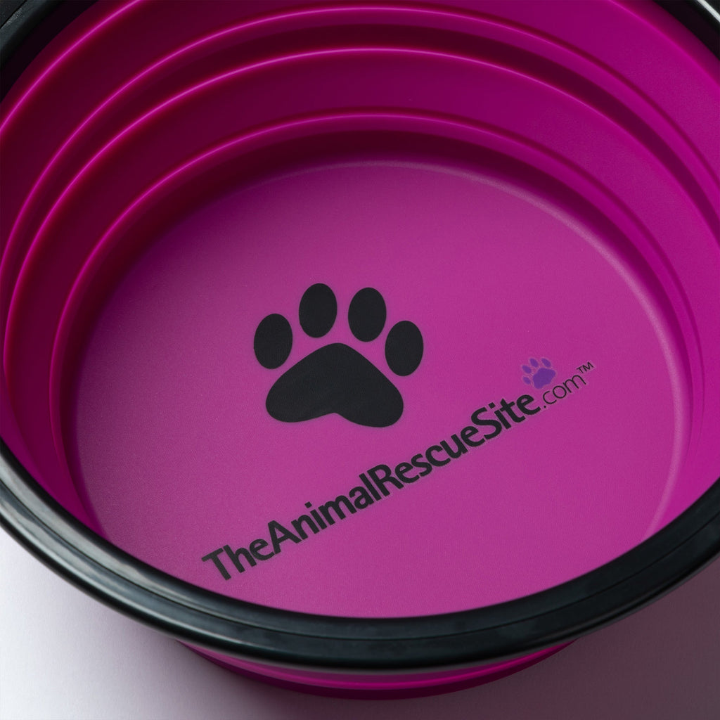 FanciPaws TrailBowl™ Collapsible Travel Bowl