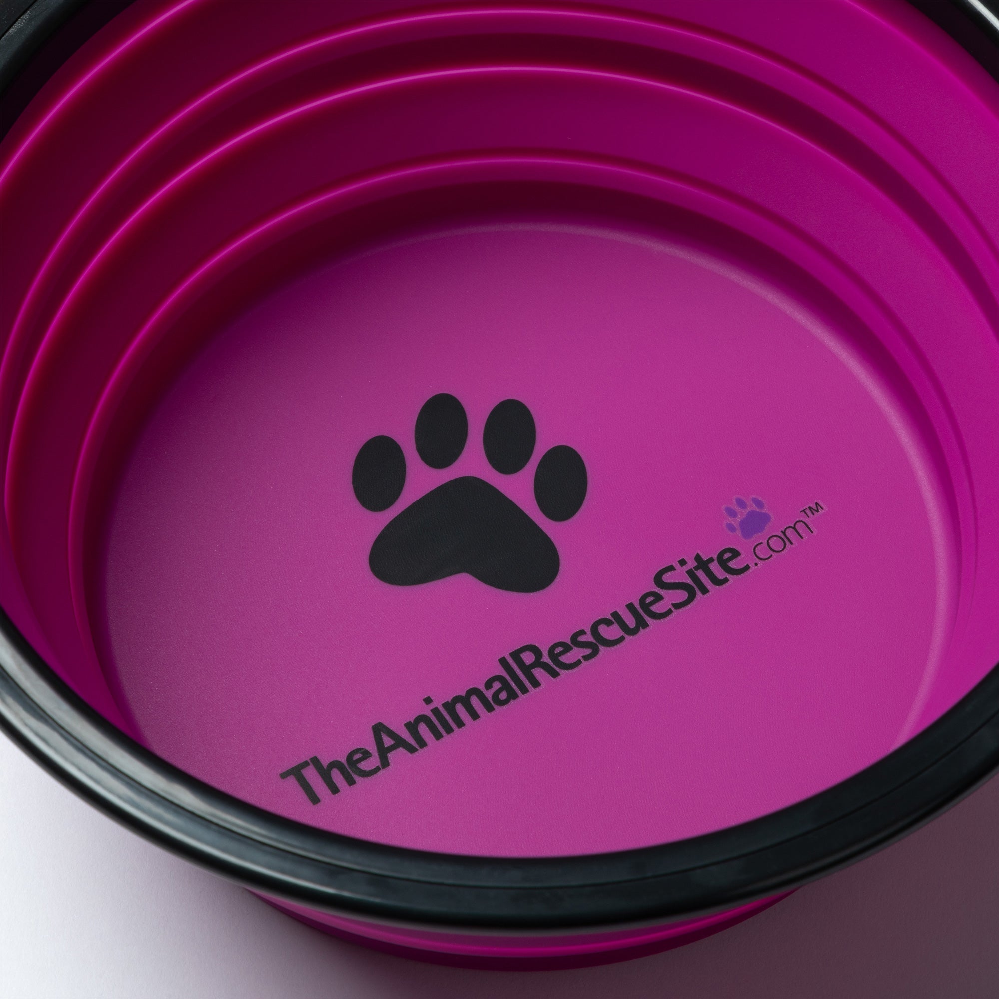 FanciPaws TrailBowl™ Collapsible Travel Bowl