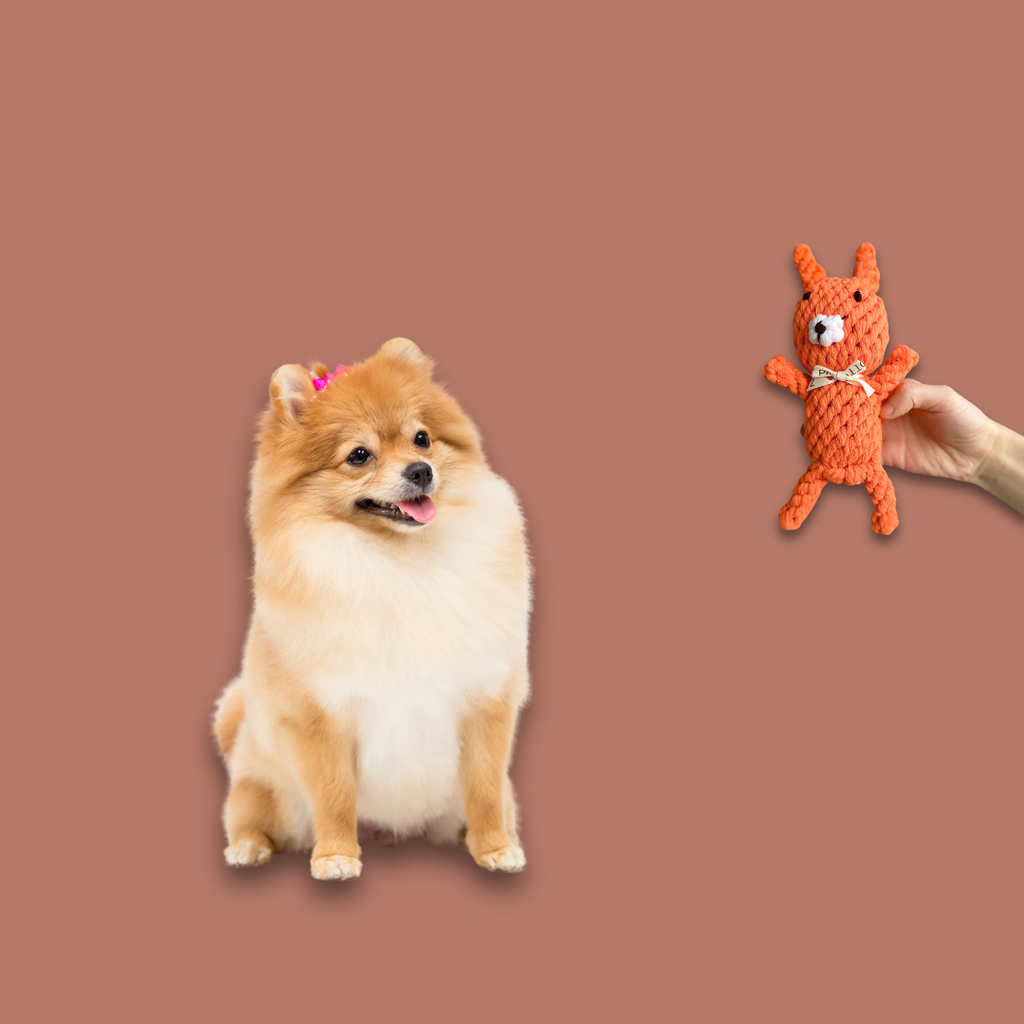 FanciPaws TwistBite™ Dental Rope Toy