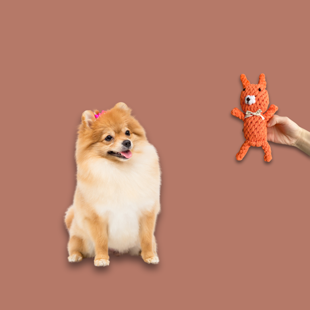 FanciPaws TwistBite™ Dental Rope Toy