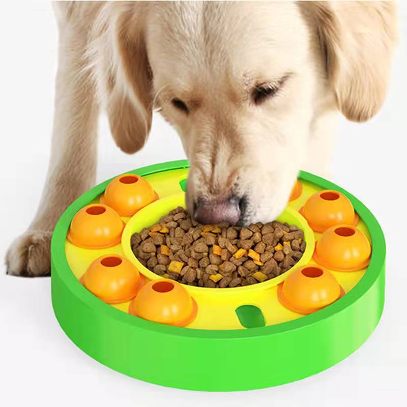 FanciPaws BrainBowl™ Slow Feeder