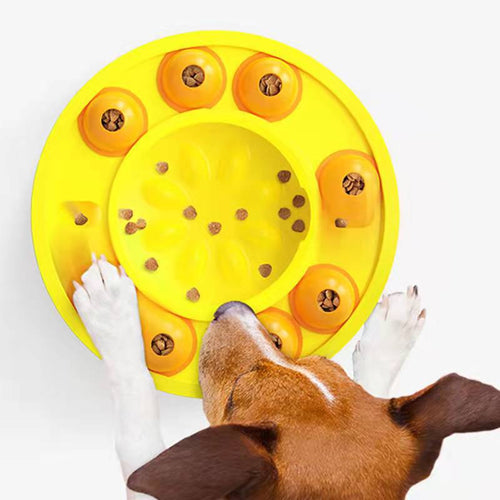FanciPaws BrainBowl™ Slow Feeder