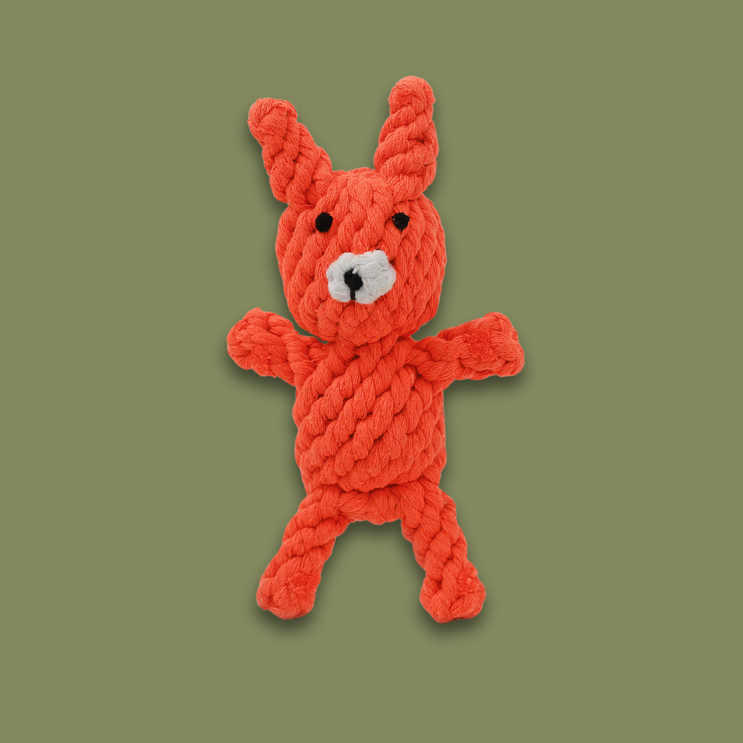 FanciPaws TwistBite™ Dental Rope Toy