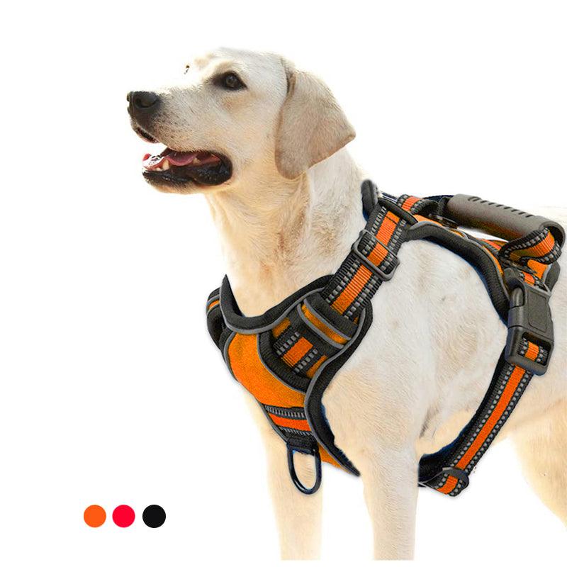 FanciPaws All-Terrain™ Reflective Dog Harness