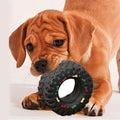 FanciPaws TireTunes™ Audible Chew Toy