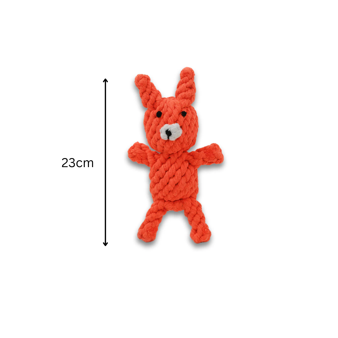 FanciPaws TwistBite™ Dental Rope Toy