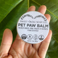 FanciPaws TrailPaw™ Protective Balm